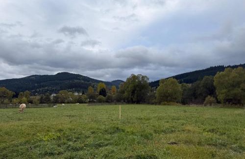 Carlibaba Ski Chalet | Căsuța Lizucăi