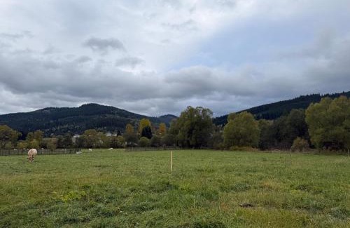 Carlibaba Ski Chalet | Căsuța Lizucăi