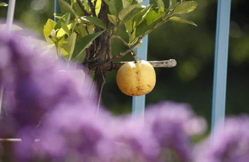 Fosdinovo Bed & Breakfast | Ca' Bianca B&B