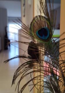 Tremp Apartment | Ca l'Esmolet