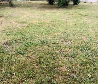 Puyehue Apartment | Cabaña Arte Patagonia