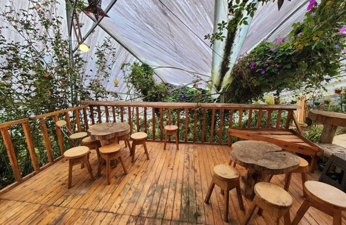 Canton Dota Cabin | Cabaña el Faisan, Jardin de Dota, a place to connect with nature.