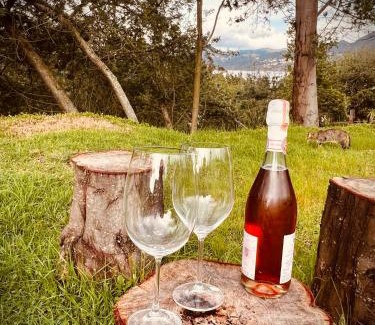 Guatavita Ski Chalet | Cabaña la Lolita - Guatavita