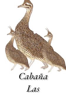 Maria Grande Apartment | Cabaña Las Martinetas