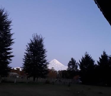 Curacautin Apartment | Cabaña Lourdes