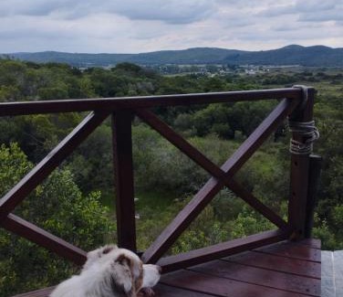 Maldonado Department Ski Chalet | Cabaña Panambi