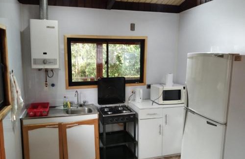 Valdivia House | Cabaña selva Valdiviana