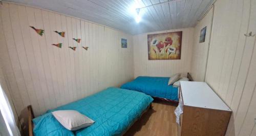 Choshuenco House | Cabaña Terraza Choshuenco