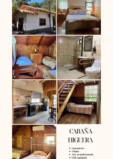 Salto del Laja House | Cabañas Arcos del salto del laja