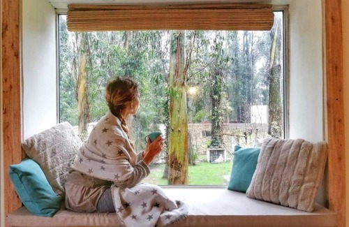 Bosque Peralta Ramos Cabin | Cabañas Bosk