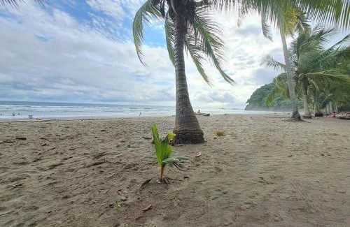Bejuco House | Cabañas Corozalito