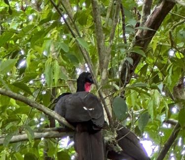 Penjamo Apartment | CABAÑAS DEL LAGO/BUNGALOWS