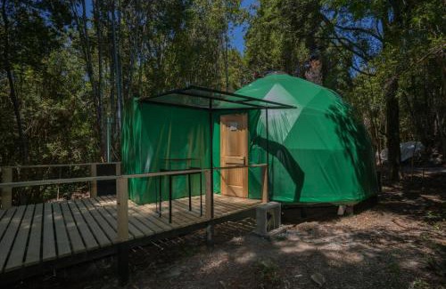 Ensenada Ski Chalet | Cabañas Ensenada Bosque Nativo