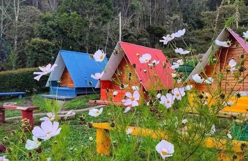 Ubala Cabin | Cabañas la Campiña