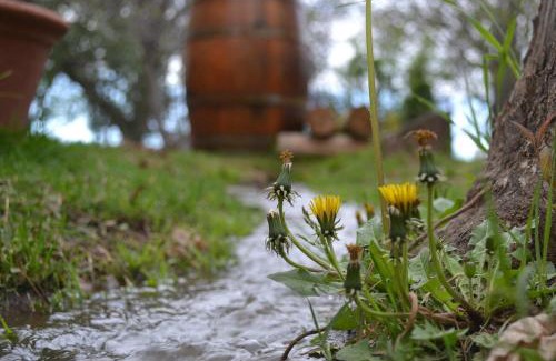 Tupungato Apartment | Cabañas La Mercedes-Cabaña 1