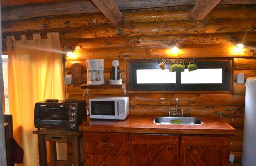 Tupungato Apartment | Cabañas La Mercedes-Cabaña 1