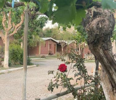 Chilecito Ski Chalet | cabañas las viñas