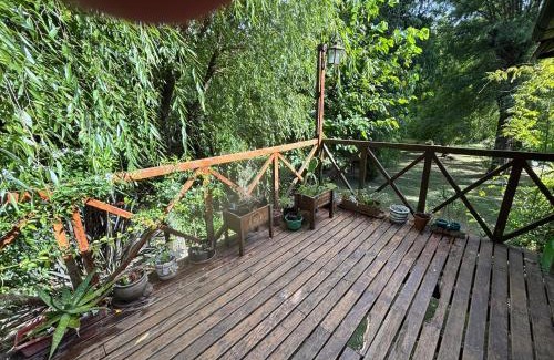 Partido de Tigre Apartment | Cabañas Panambi