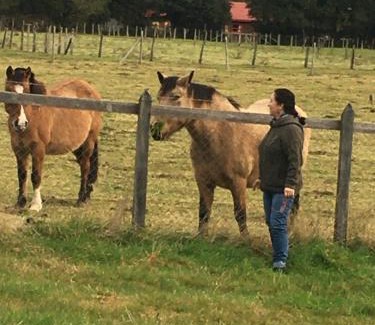 Ralun House | Cabañas Río del Este SPA