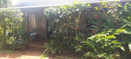 Hanga Roa House | Cabañas Rapanui keka