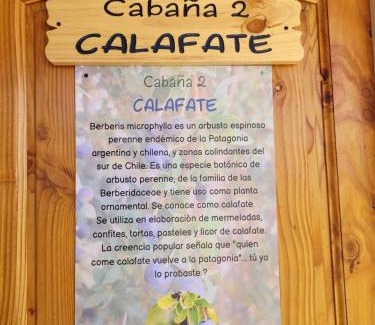 Chile Chico Apartment | CABAÑAS RINCON SOLEADO, Chile Chico