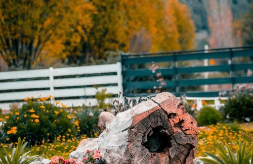 Hualqui House | Cabañas San Javier Hualqui