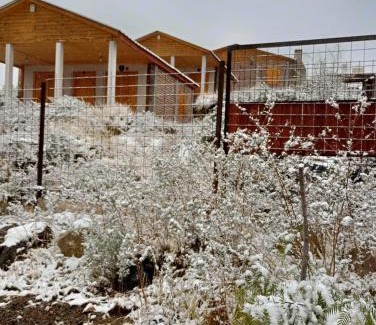 Salto Apartment | Cabañas Vista del plata