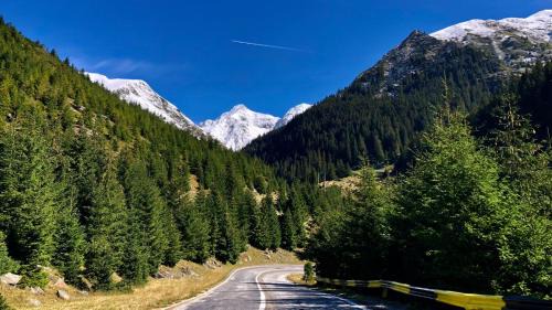 Capatanenii Pamanteni House | Cabana Conacul Ursului