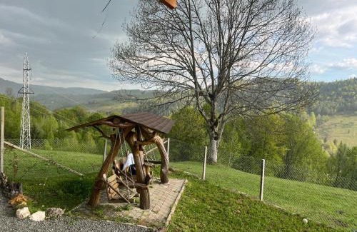 Ciuruleasa House | Cabana Cristalul din Apuseni