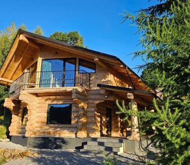 Vatra Dornei Ski Chalet | Cabana Cristi