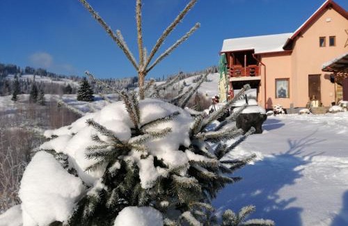 Saru Dornei House | Cabana Gabriel Bucovina