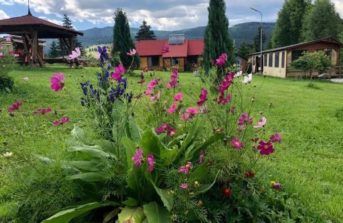 Saru Dornei House | Cabana La Plai Vest - cozy private place in the mountain