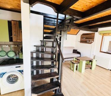 Dorna Arini Ski Chalet | Cabana Lapina