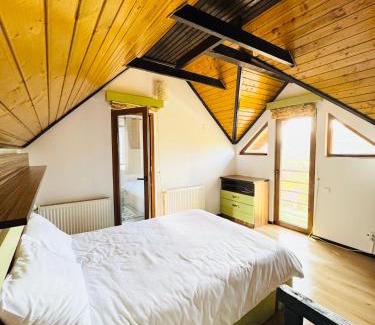 Dorna Arini Ski Chalet | Cabana Lapina