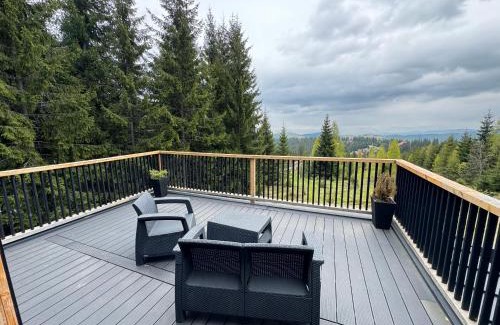 Baisoara House | Cabana Merlin - Statiunea Muntele Baisorii