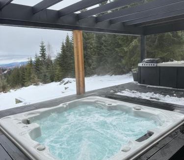 Baisoara House | Cabana Merlin - Statiunea Muntele Baisorii