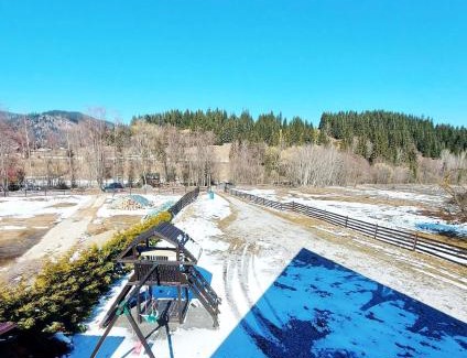 Neagra Sarului House | Cabana Red River