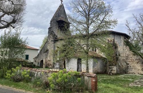 Losse House | Cabane de charme