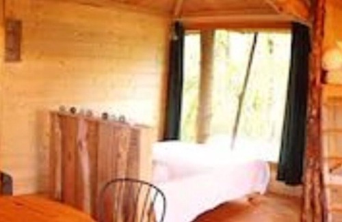 Allons Bed & Breakfast | Cabane des cerfs