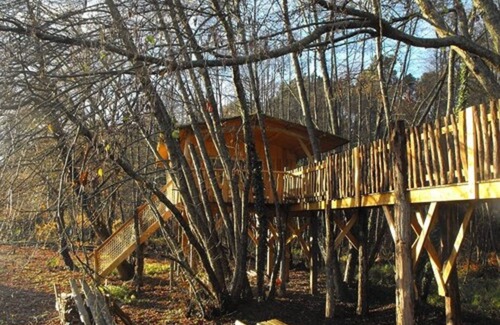 Allons Bed & Breakfast | Cabane des cerfs