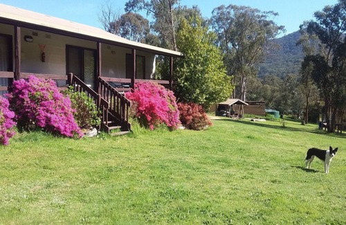 Jamieson Cabin | Cabin 1- Emerald Park