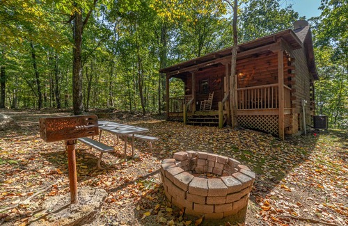 Stanardsville Cabin | Cabin #8 - The Shadows | 1 Bed, 1 Bath