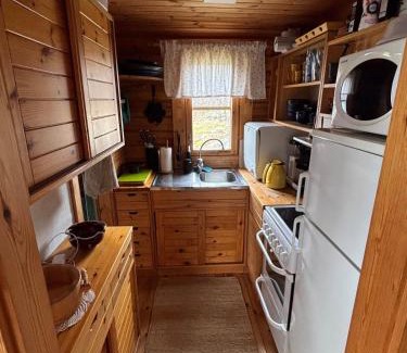 Gottby House | Cabin with an entire island to itself