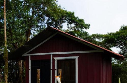 Quebrada La Gamba Other | Cabinas los Jilgueros