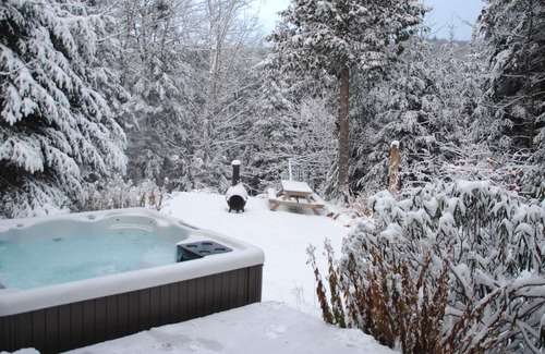 Sainte-Adele Ski Chalet | Calm and Nature Chalet