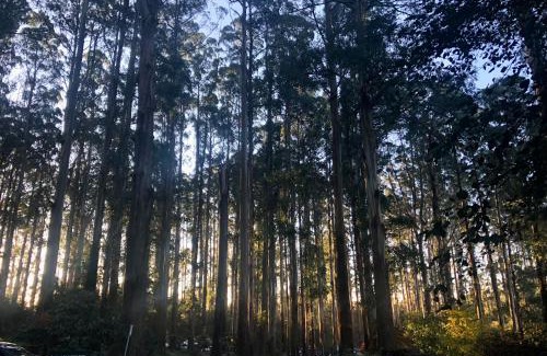 Olinda Bed & Breakfast | Cambridge Cottages