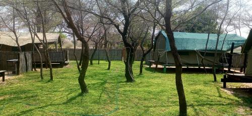 Windhoek West Other | Camp Hogo Kavango