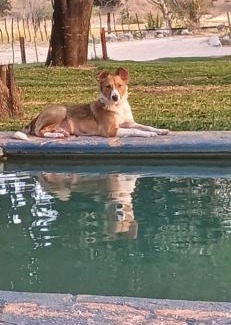 Windhoek West Other | Camp Hogo Kavango