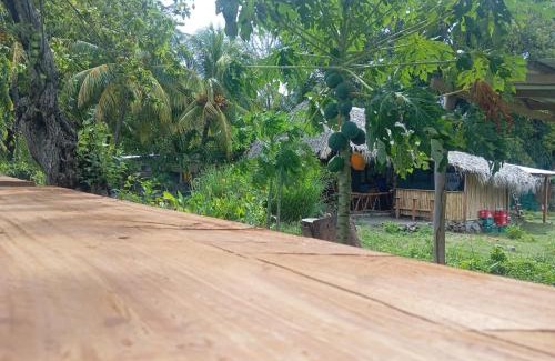 Altagracia Other | Camp