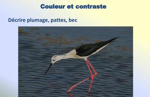 Thies Nord Cabin | Campement Bidiel